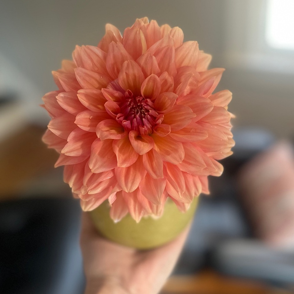 Oh, hello. I’m Mary Beth.